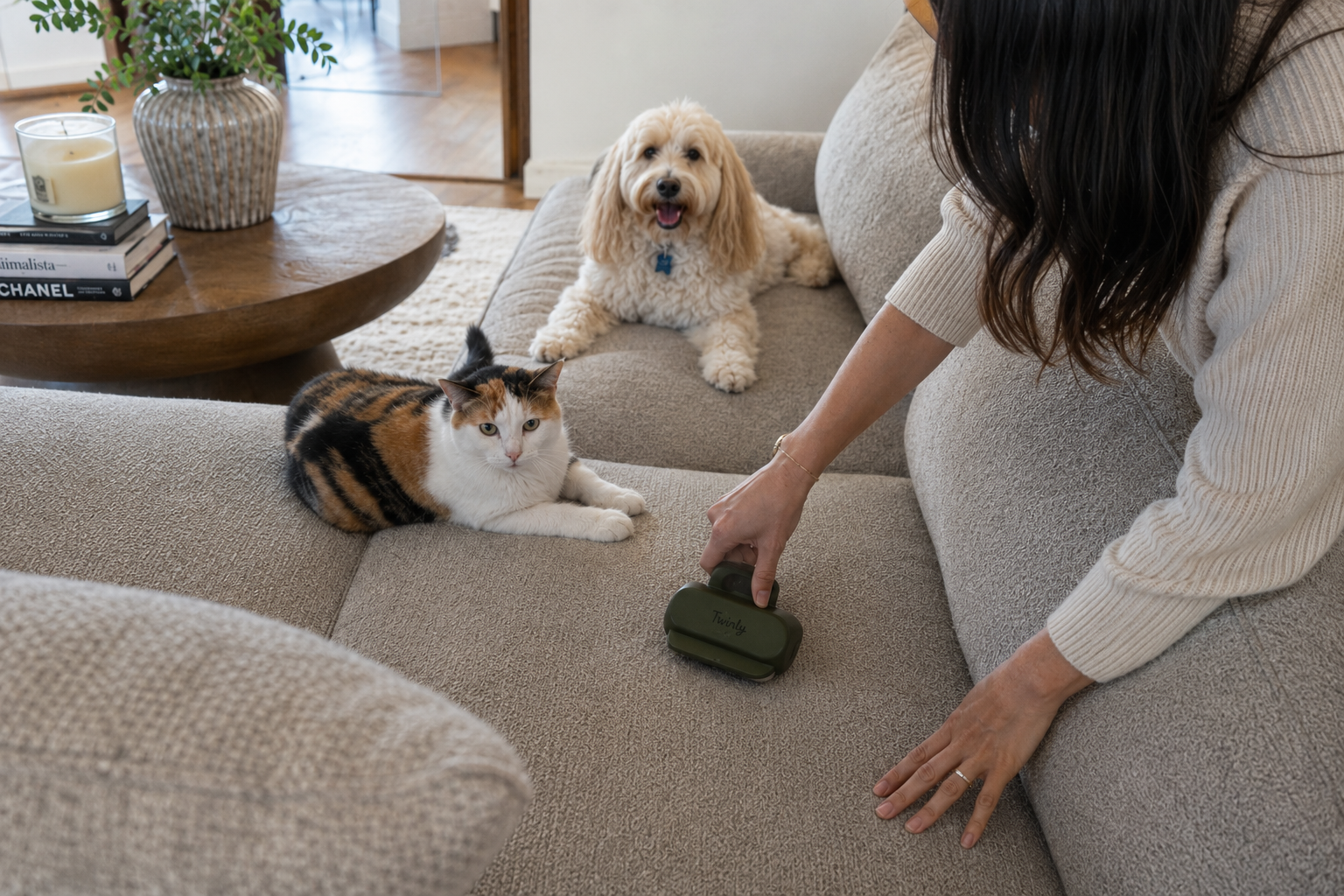 Pet owner removing cat and dog hair from a sofa in a Dubai home