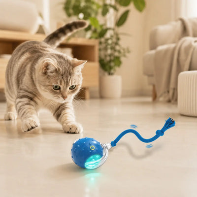 Automatic rolling ball cat chasing interactive toy