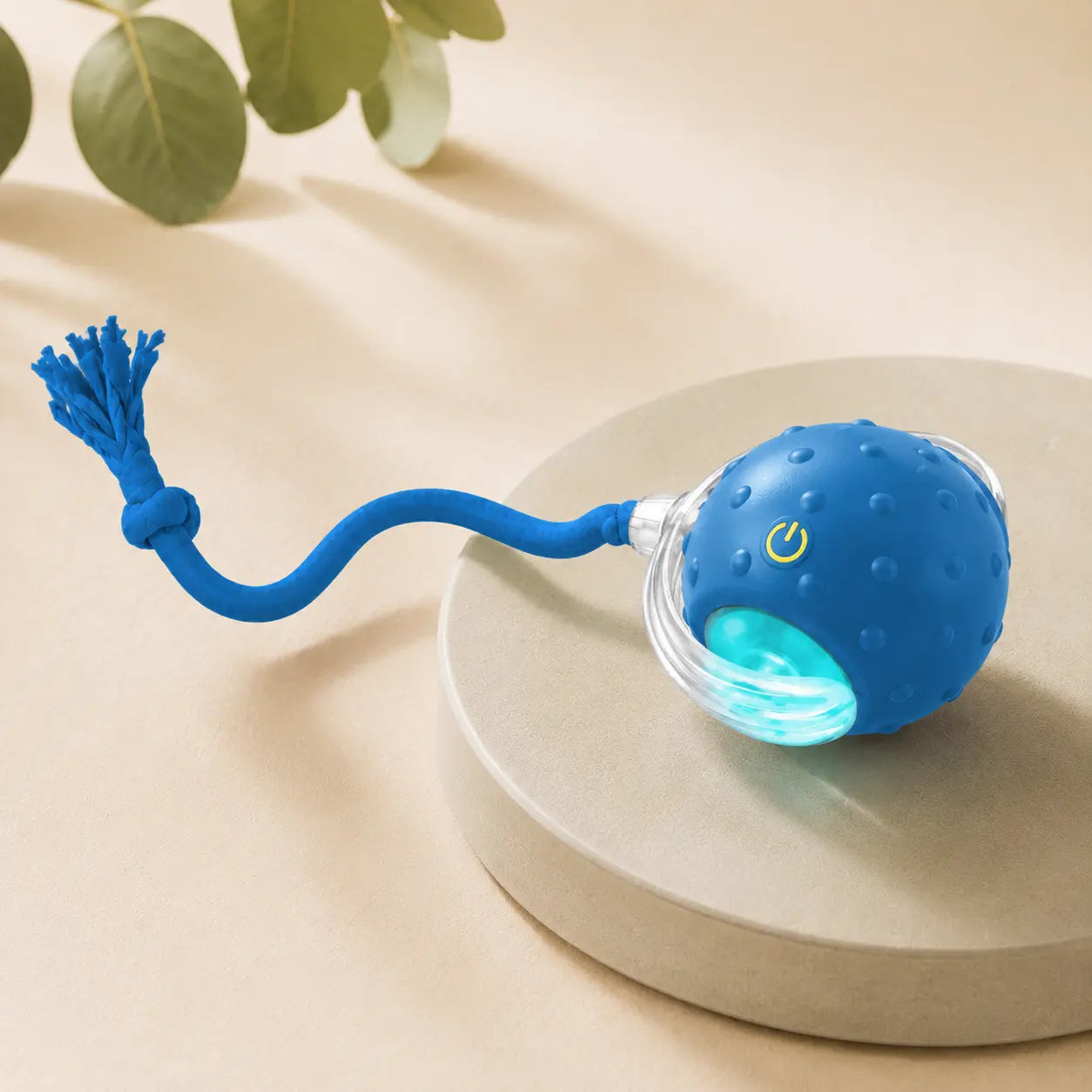 Automatic rolling ball for cats and small dogs blue