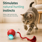 Automatic rolling ball stimulates natural hunting instincts