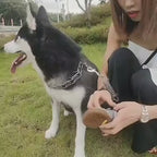 Premium Anti-Slip Dog Boots for Hot Pavement