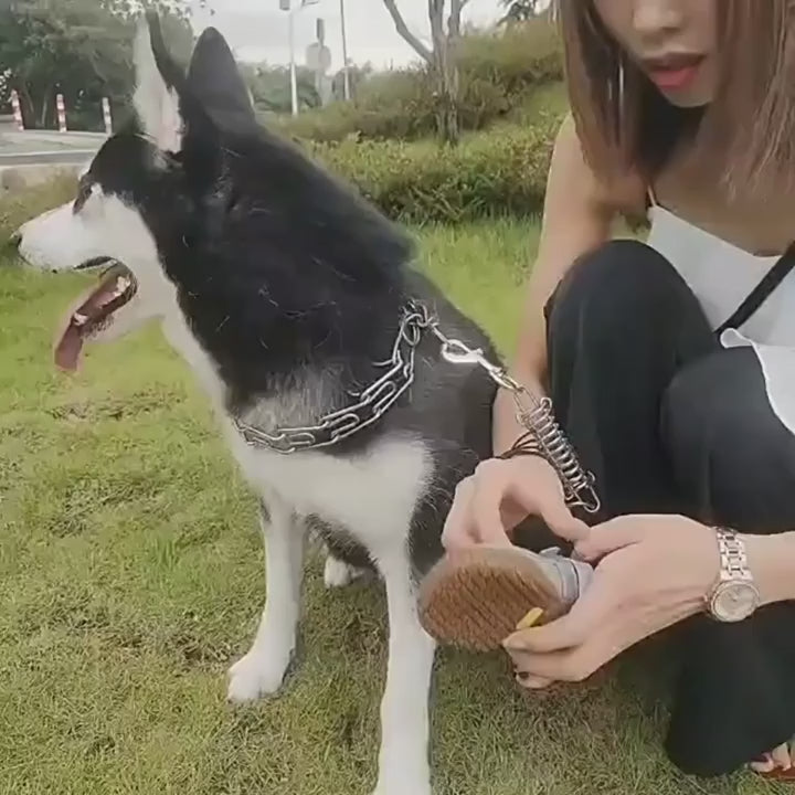 Premium Anti-Slip Dog Boots for Hot Pavement
