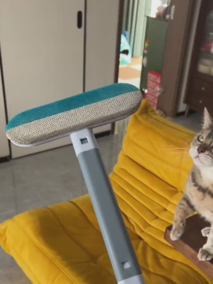 4 in 1 pet hair remover brush demonstration